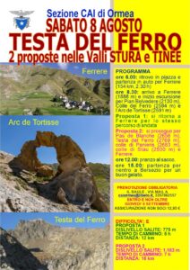 TESTA DEL FERRO